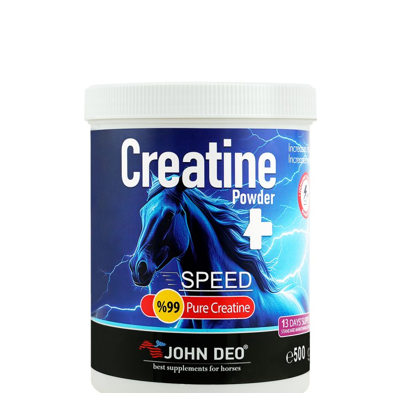 CREATINE 500 Gr