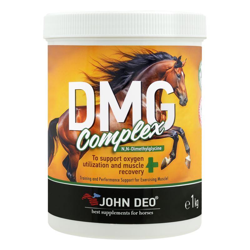 DMG Complex